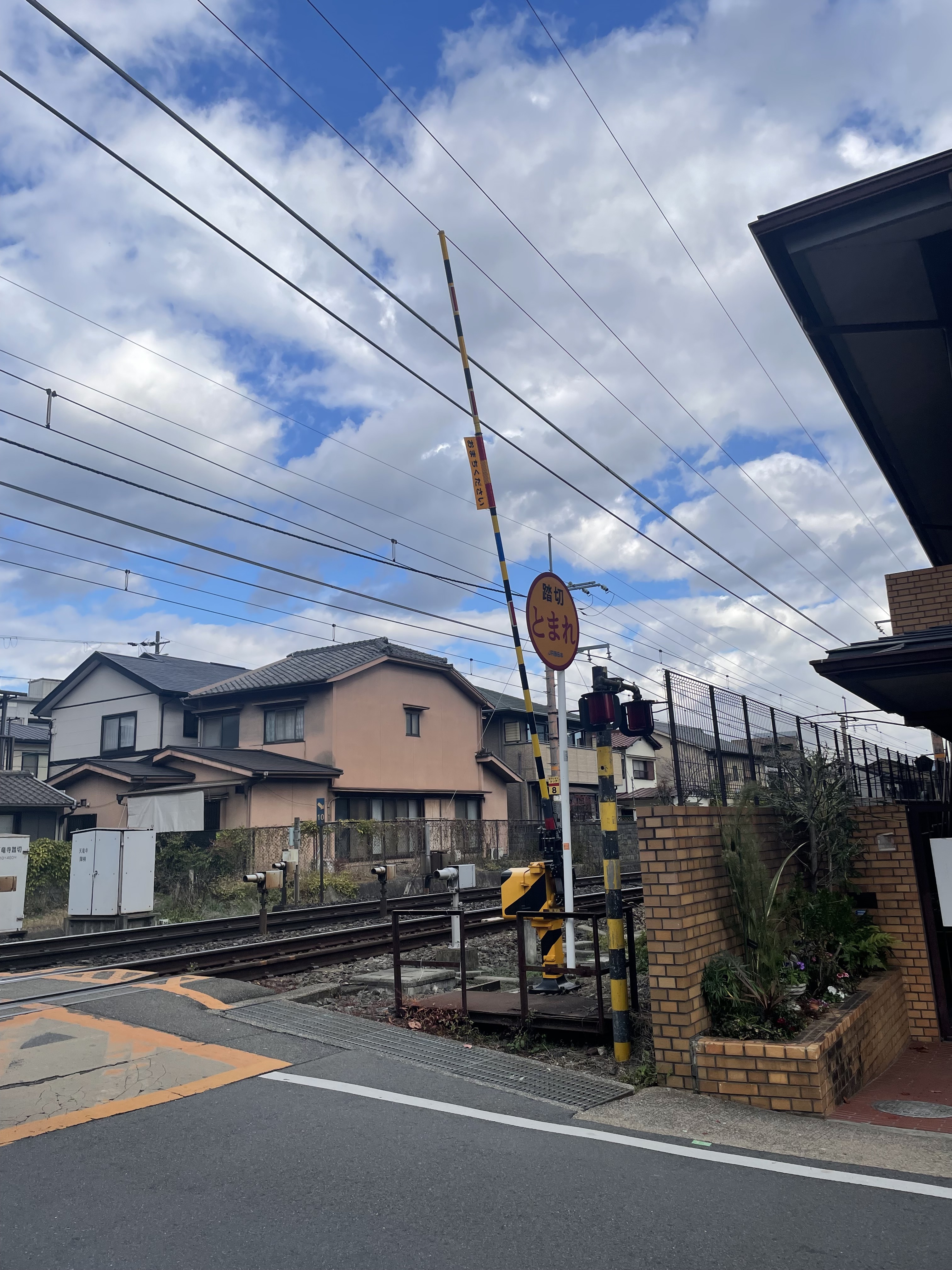 IMG_9655.jpeg