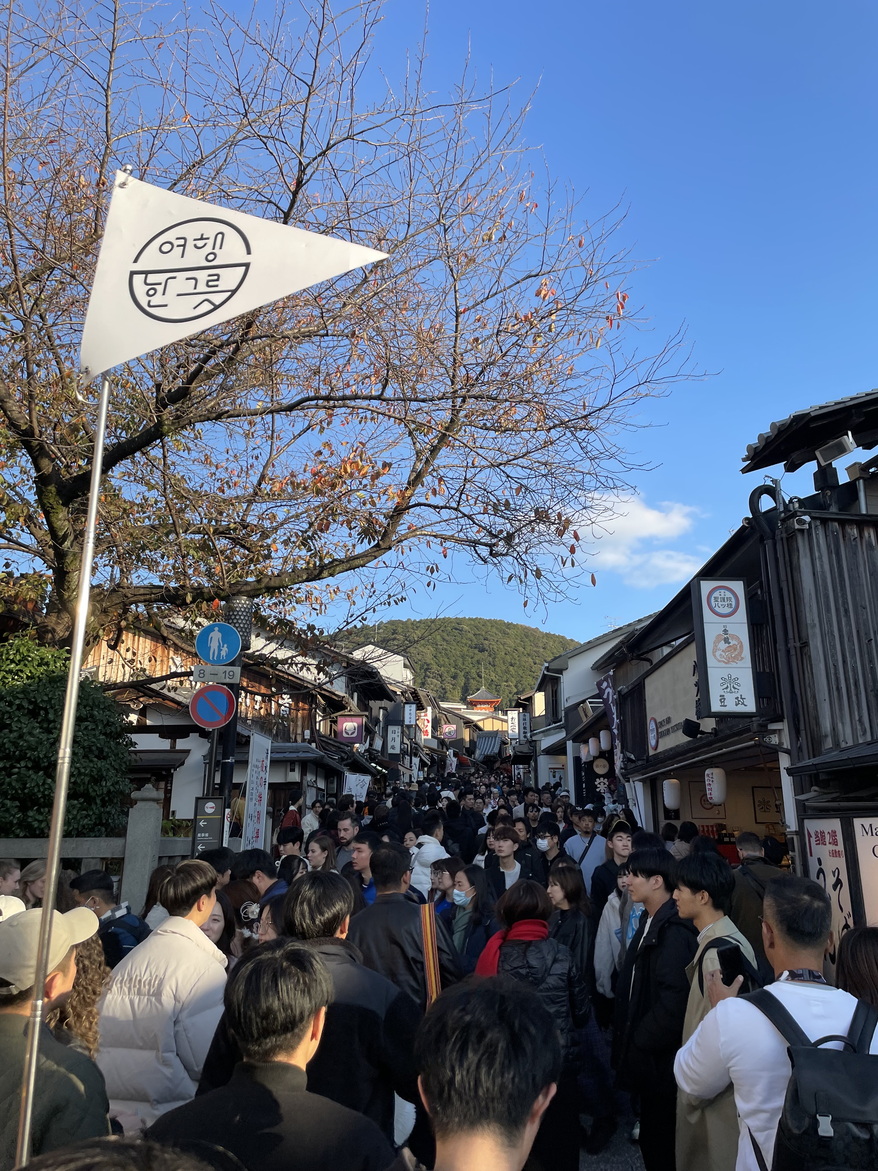 IMG_7272.jpeg