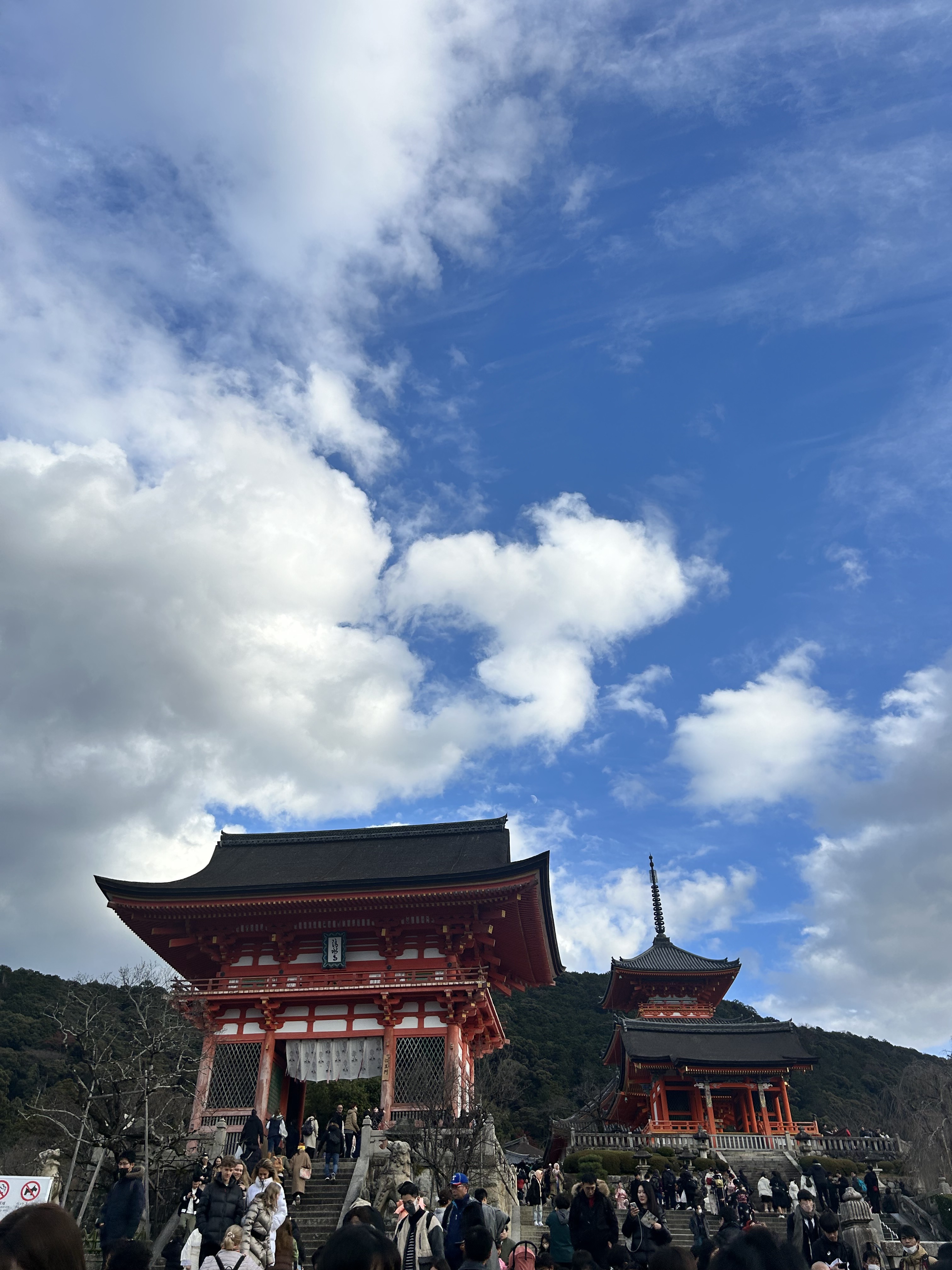 IMG_2677.jpeg