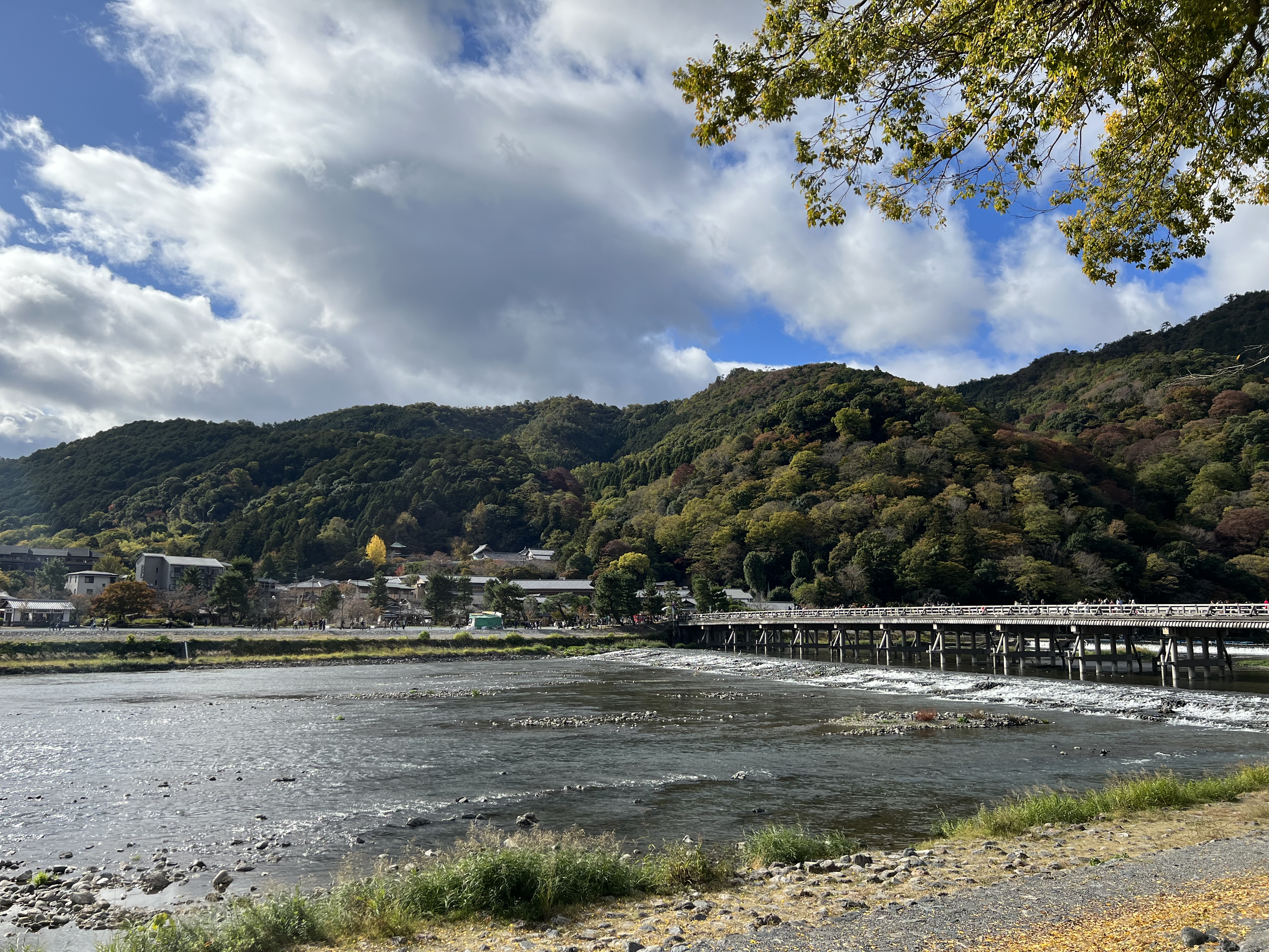 IMG_4698.jpeg