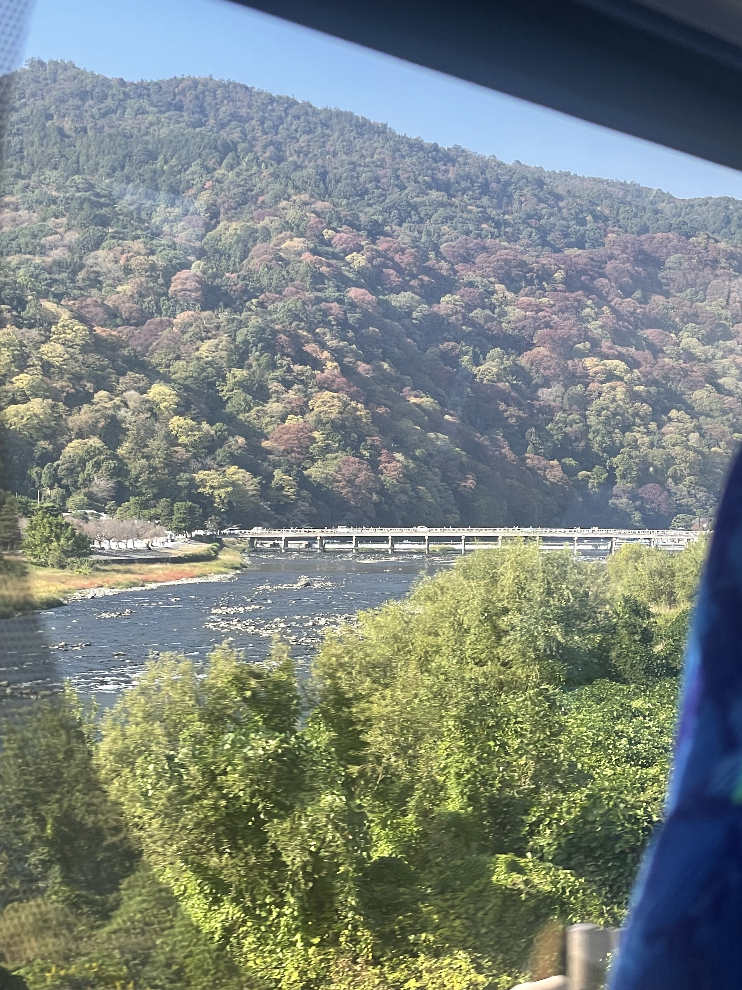 IMG_2238.jpeg
