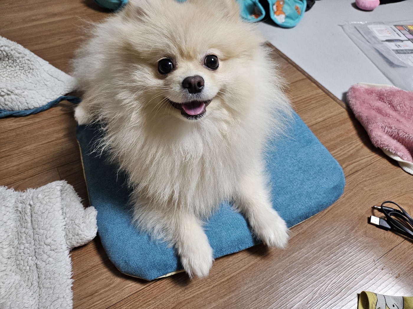 리뷰 이미지