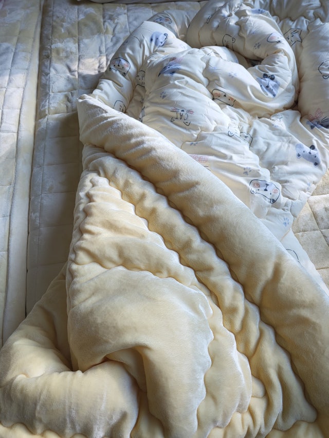 이미지를 찾을 수 없습니다.