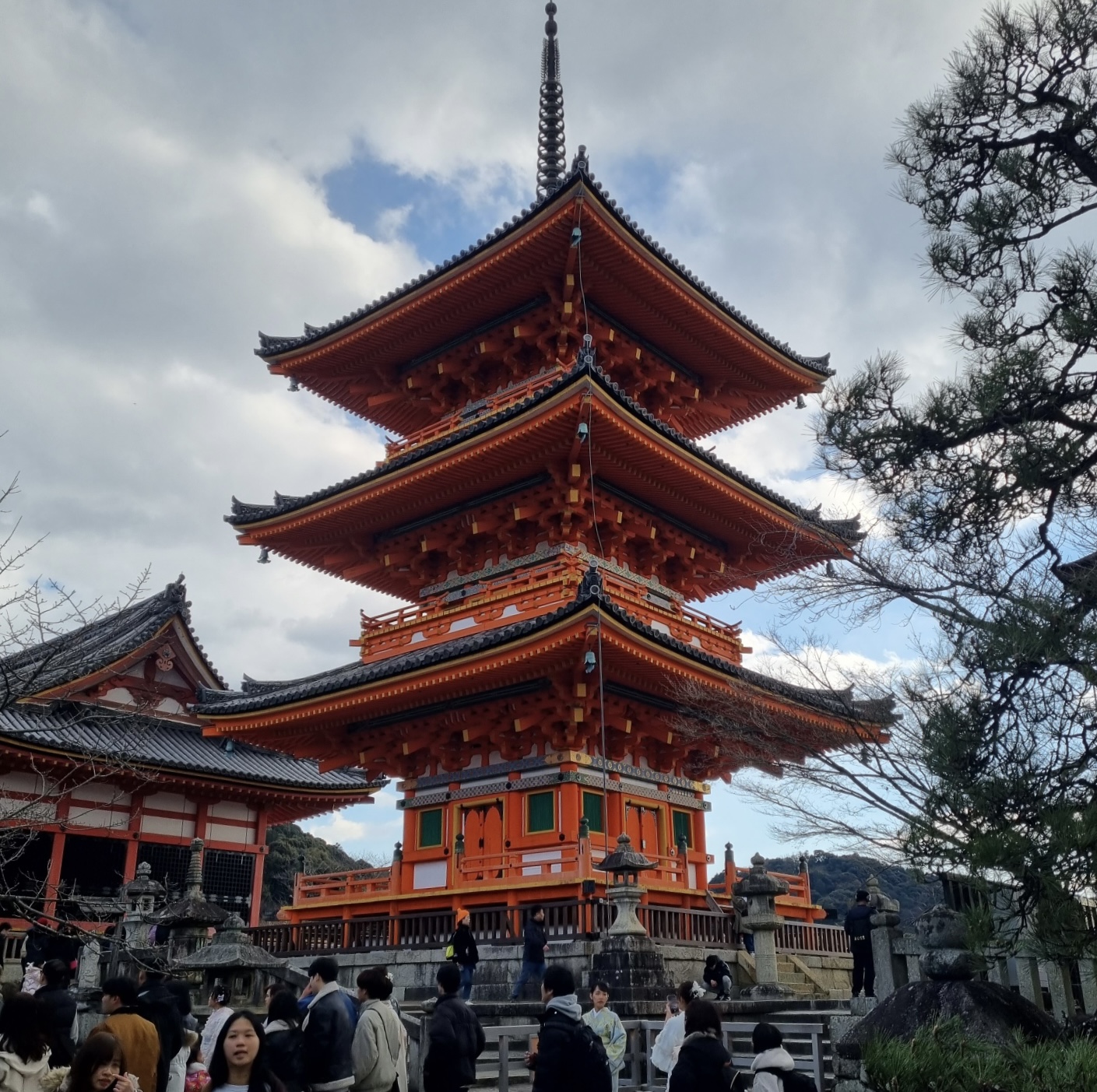 IMG_0098.jpeg