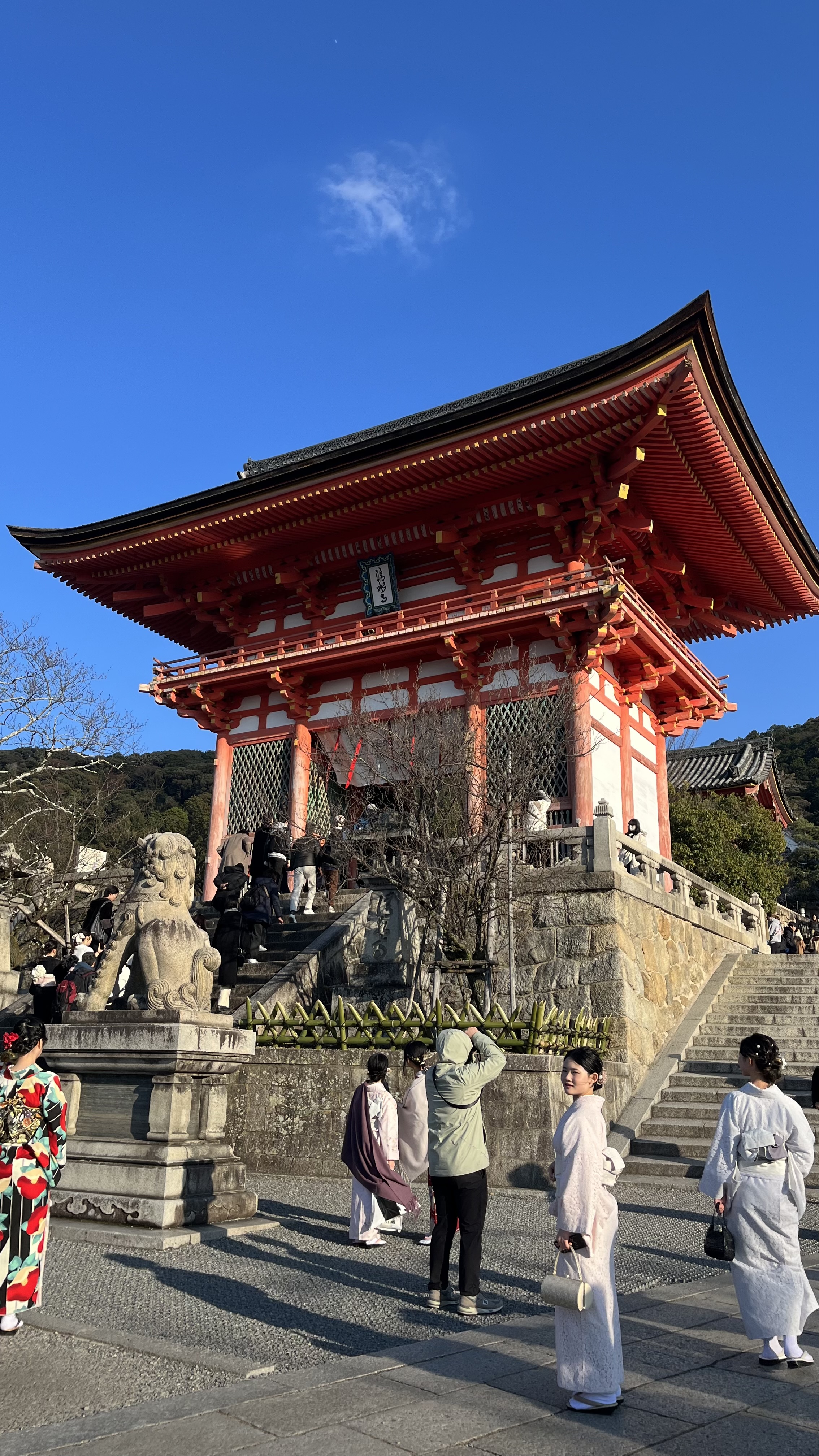 IMG_9324.jpeg