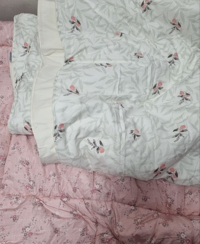 이미지를 찾을 수 없습니다.