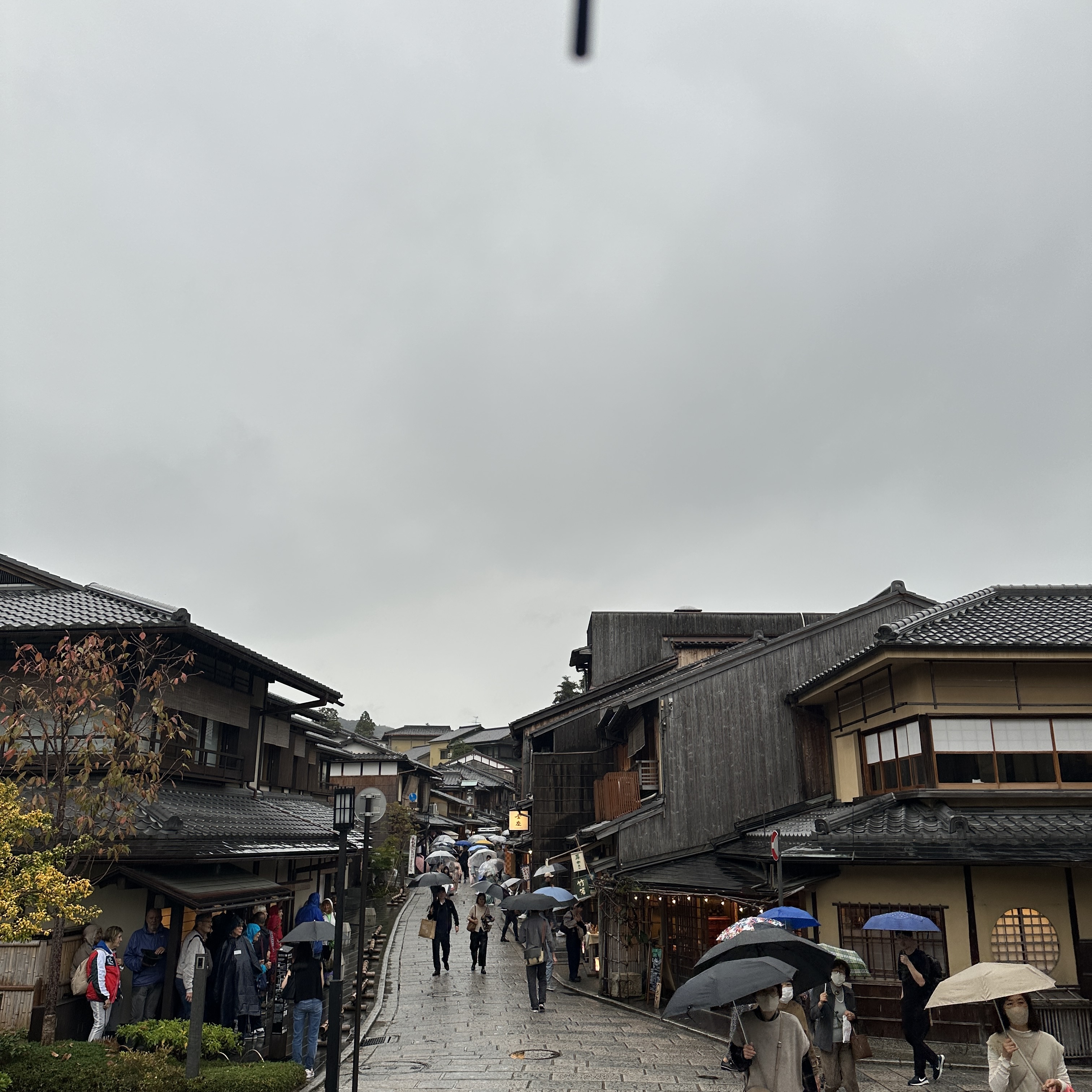 IMG_6226.jpeg