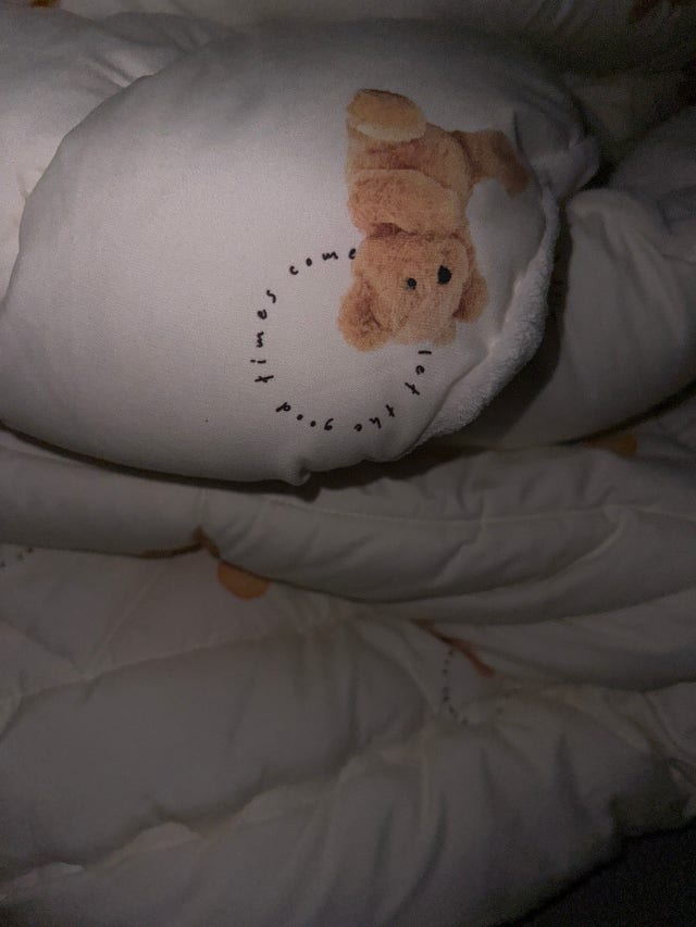 이미지를 찾을 수 없습니다.