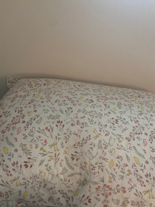 이미지를 찾을 수 없습니다.