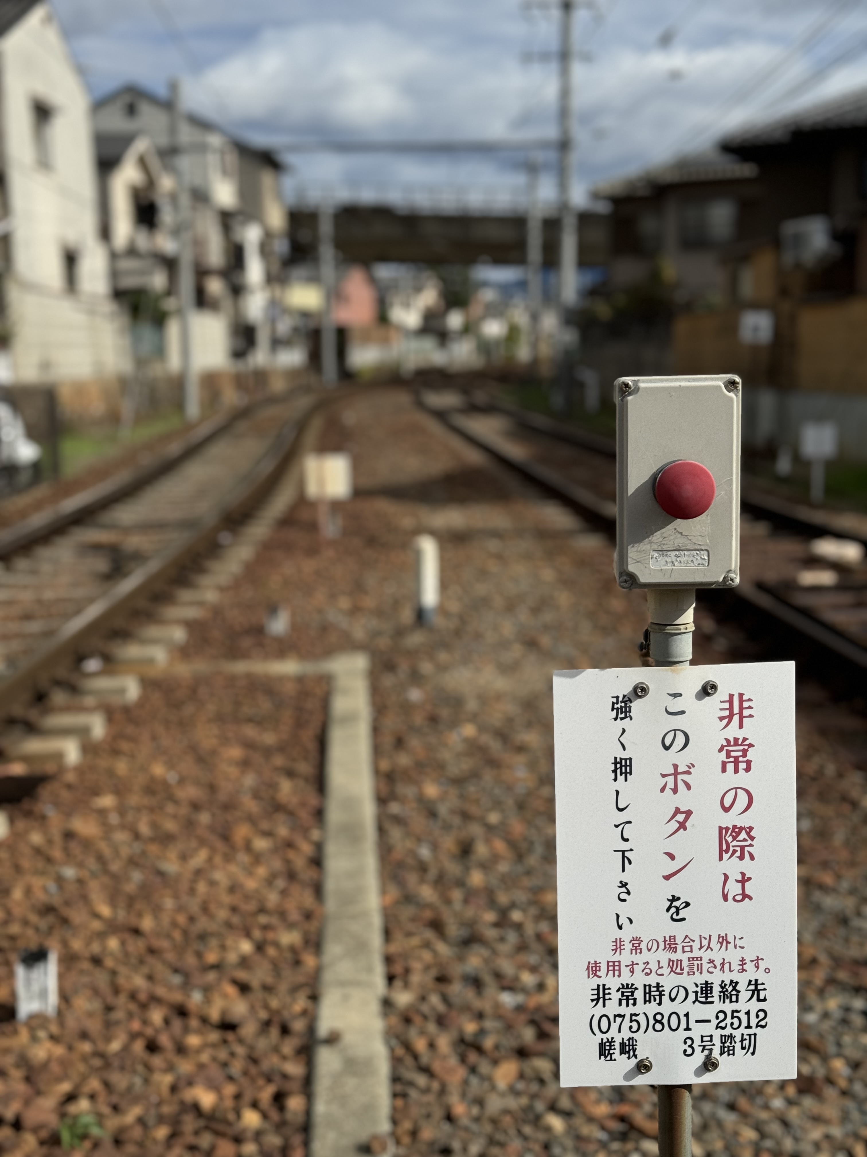 IMG_0824.jpeg