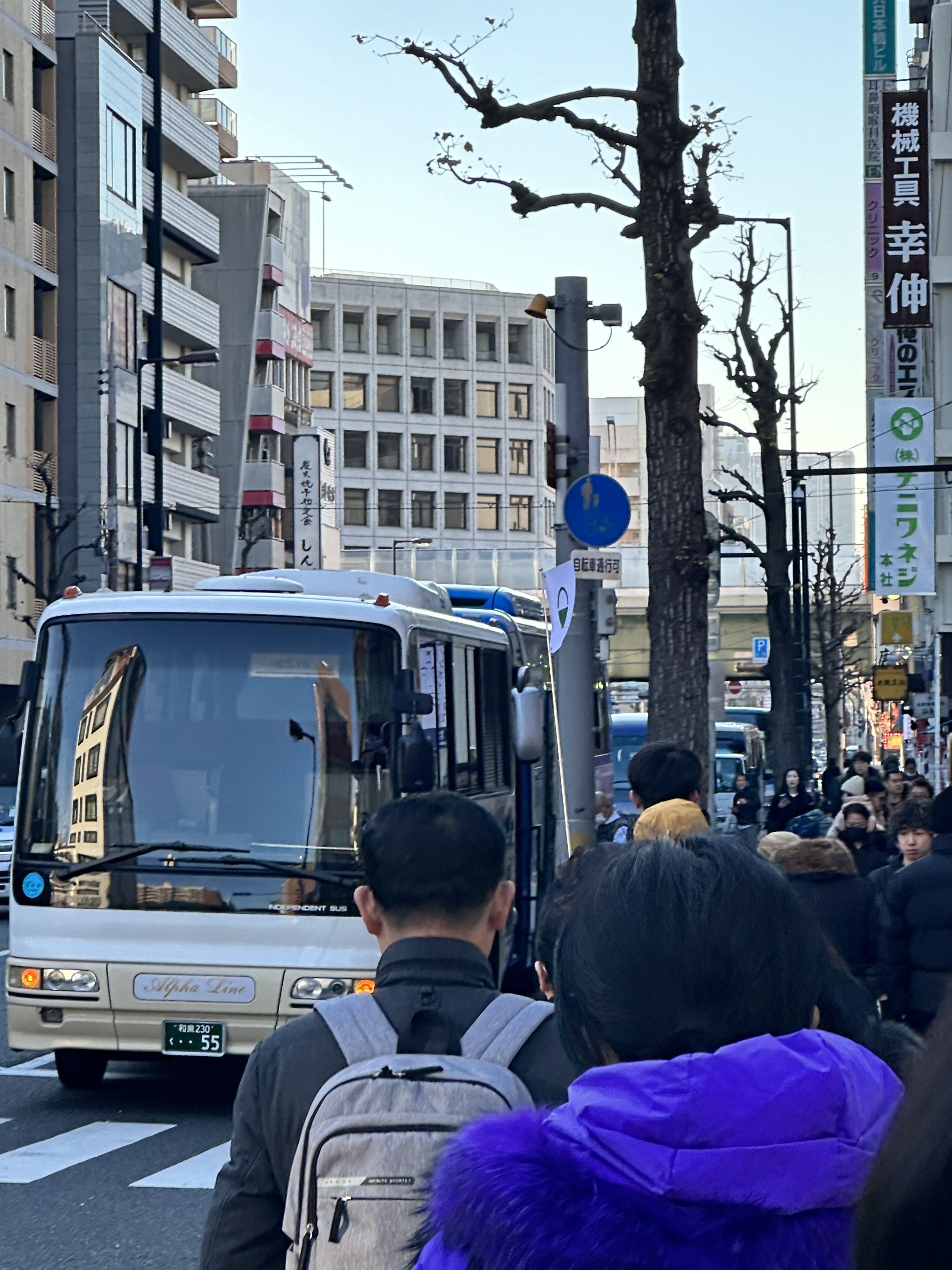 IMG_4962.jpeg