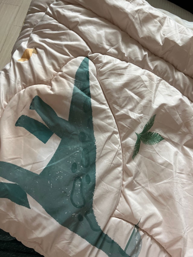 이미지를 찾을 수 없습니다.