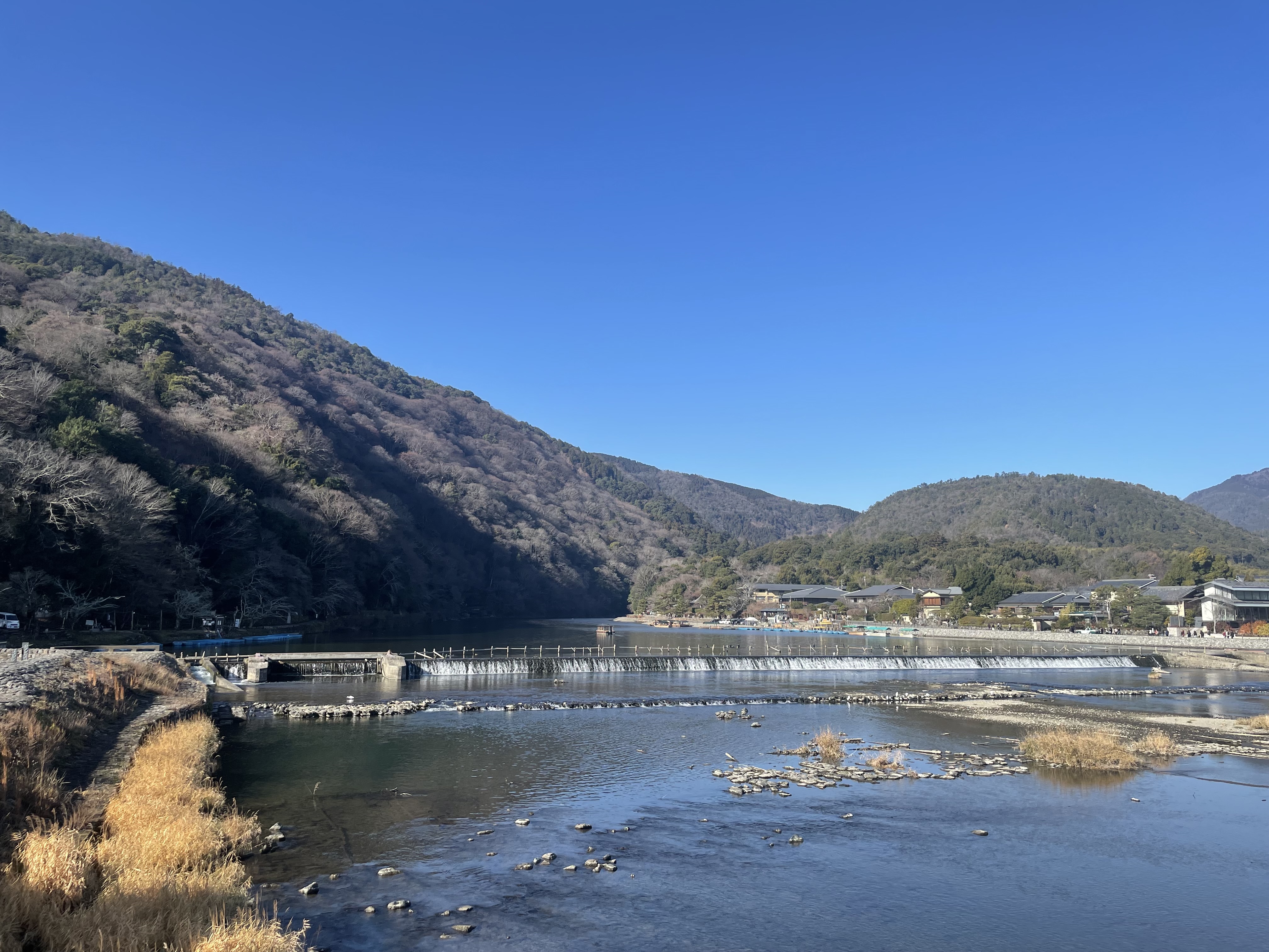 IMG_6915.jpeg