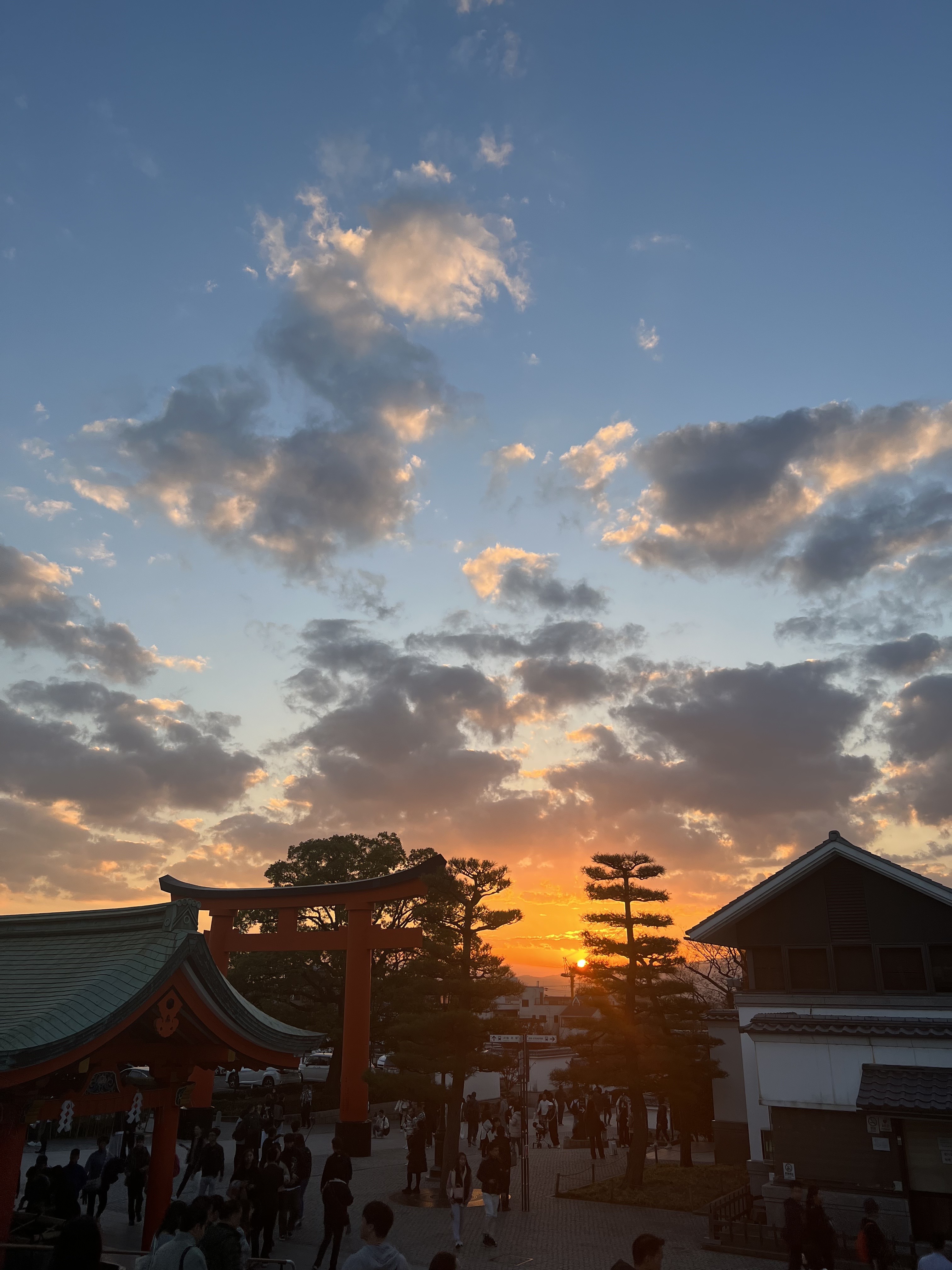 IMG_2049.jpeg