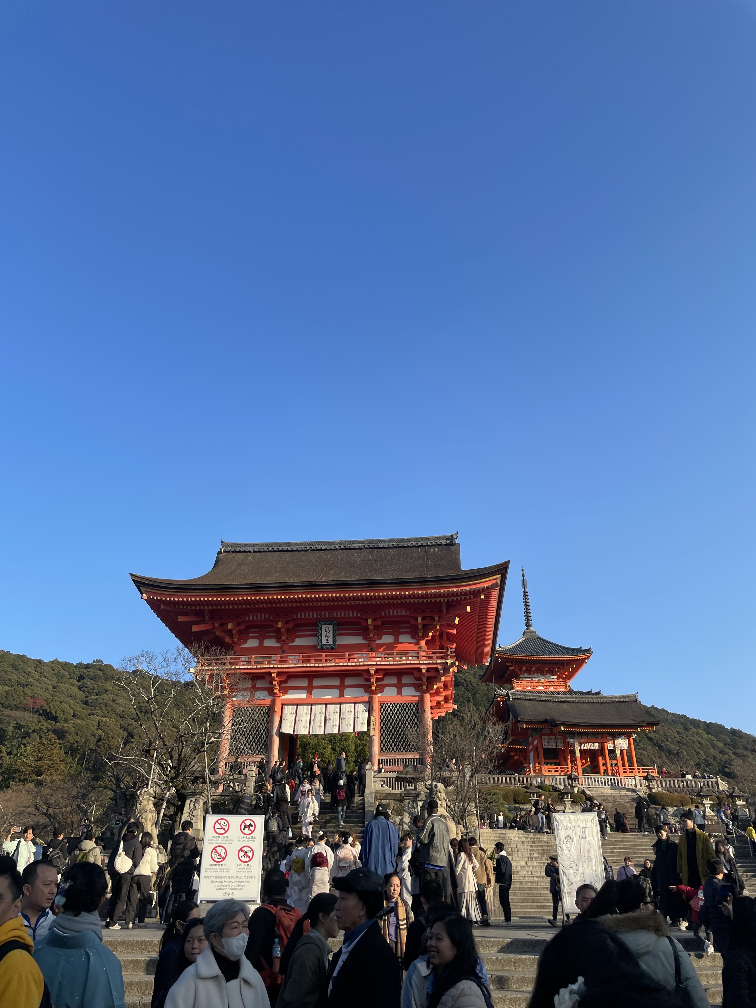 IMG_0841.jpeg