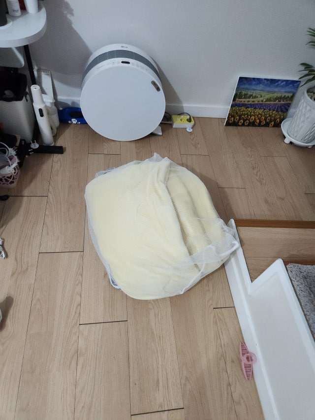 이미지를 찾을 수 없습니다.