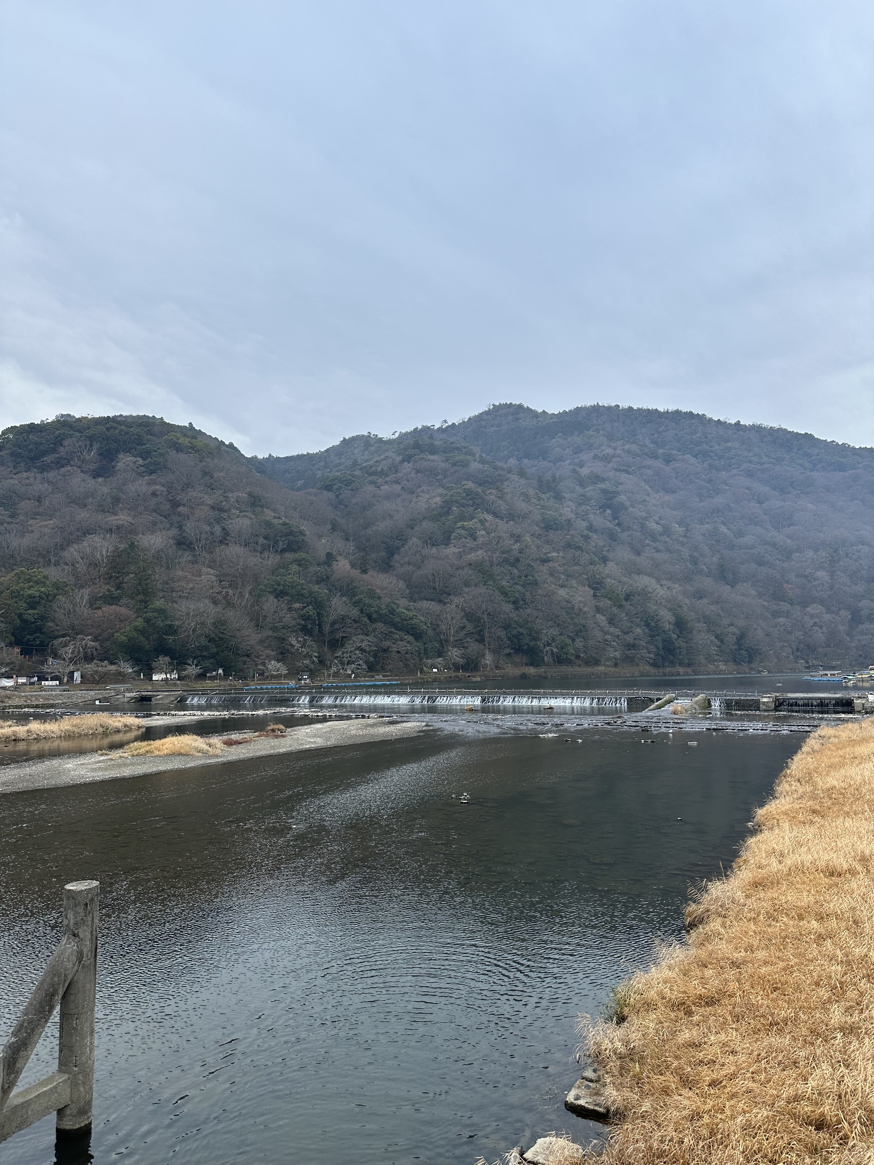 IMG_8063.jpeg