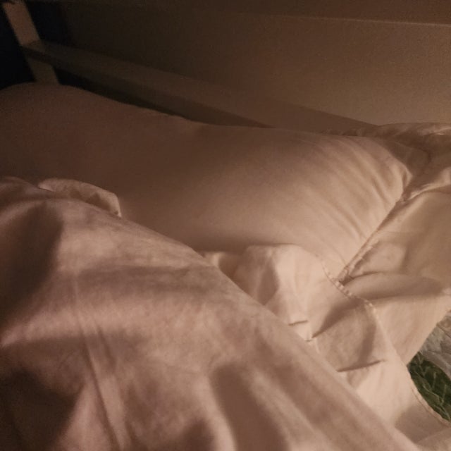 이미지를 찾을 수 없습니다.