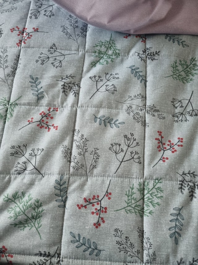 이미지를 찾을 수 없습니다.