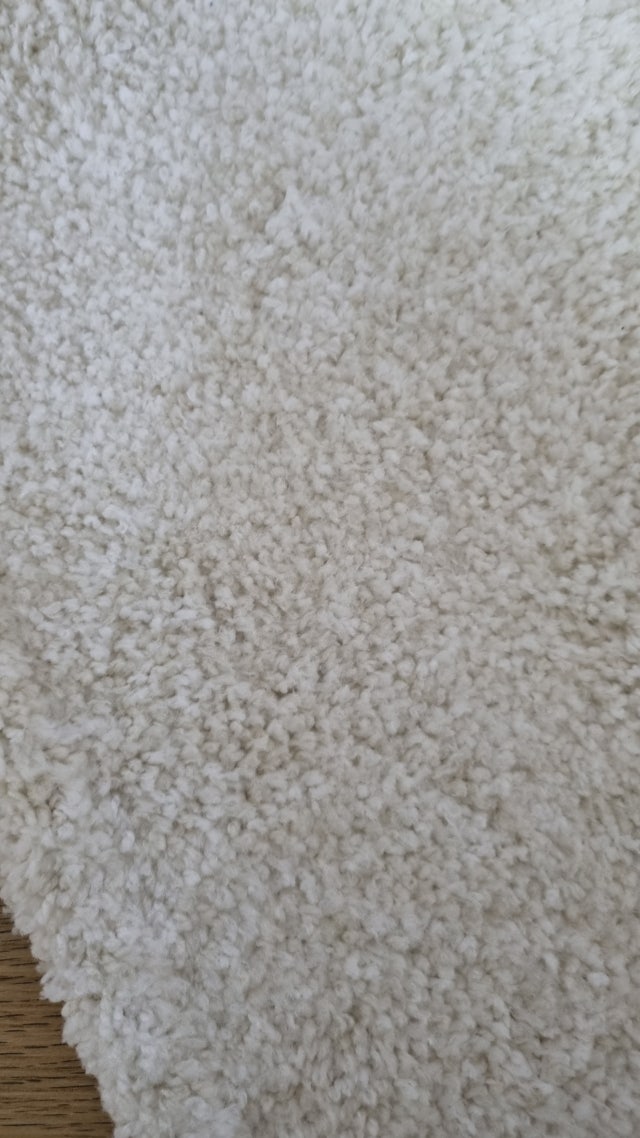 1705463237079.jpg?type=w640