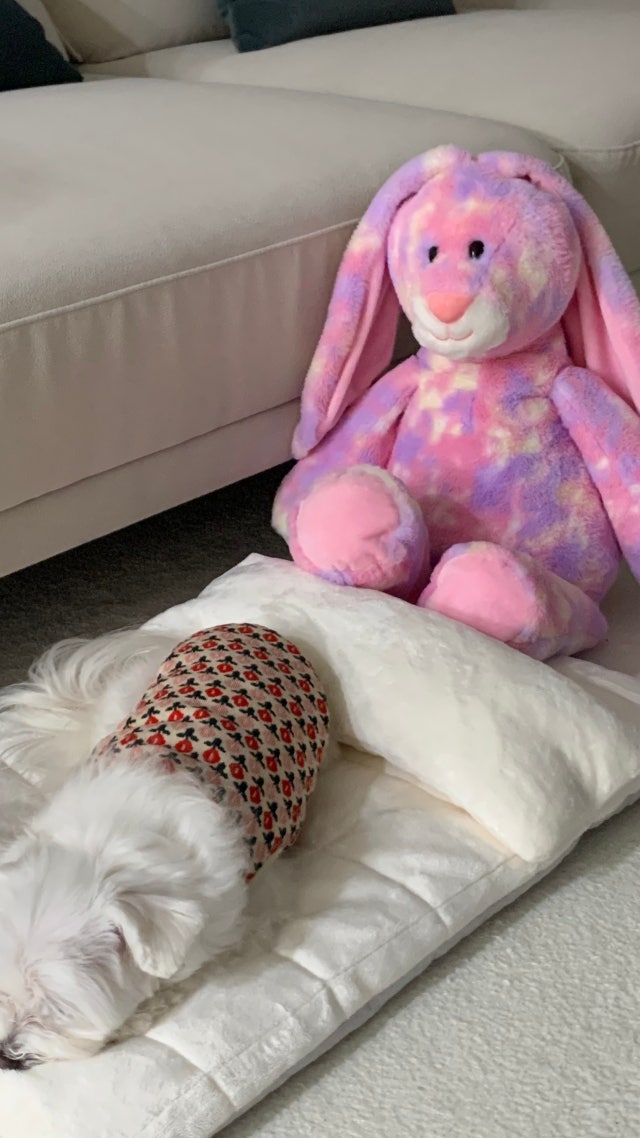 이미지를 찾을 수 없습니다.