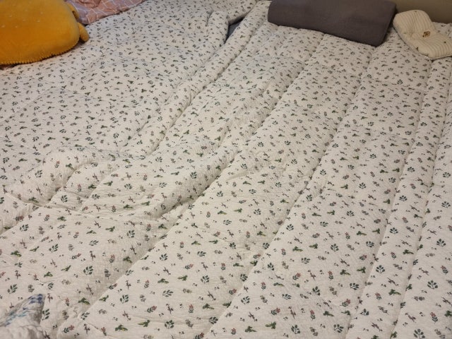 이미지를 찾을 수 없습니다.