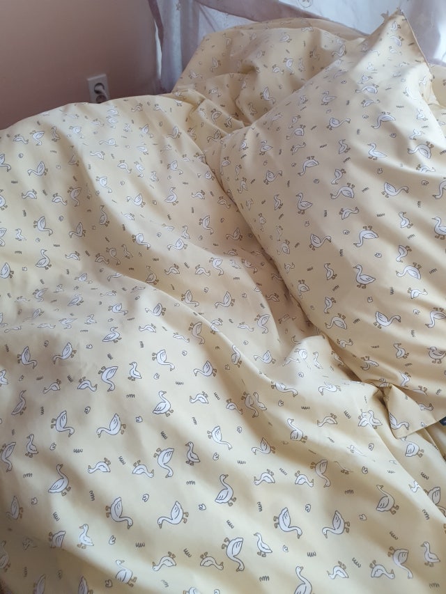 이미지를 찾을 수 없습니다.