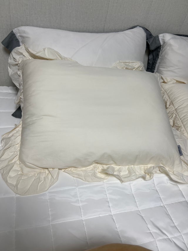 이미지를 찾을 수 없습니다.