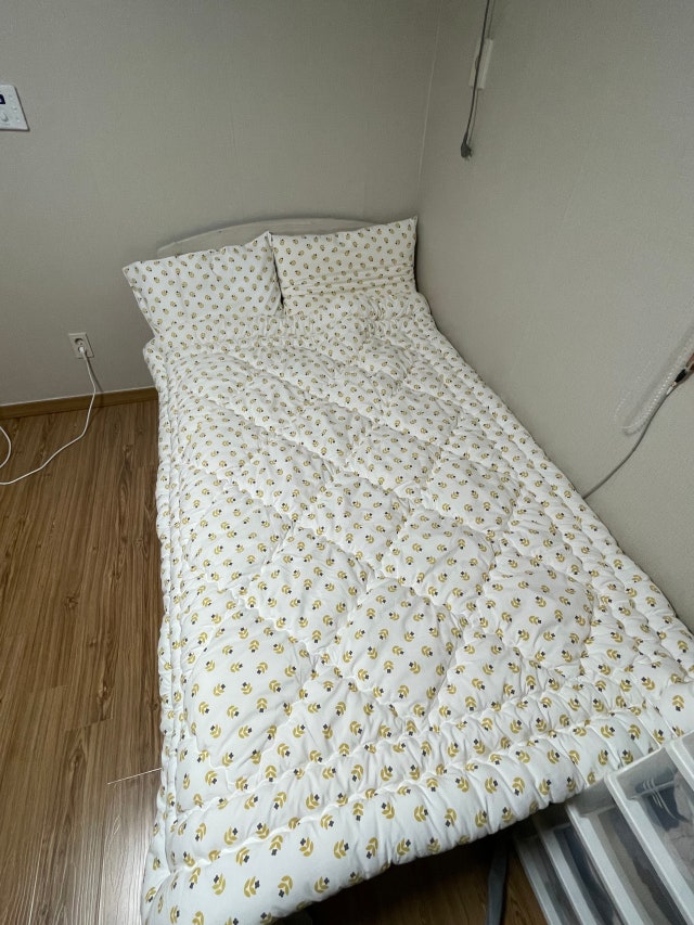 이미지를 찾을 수 없습니다.