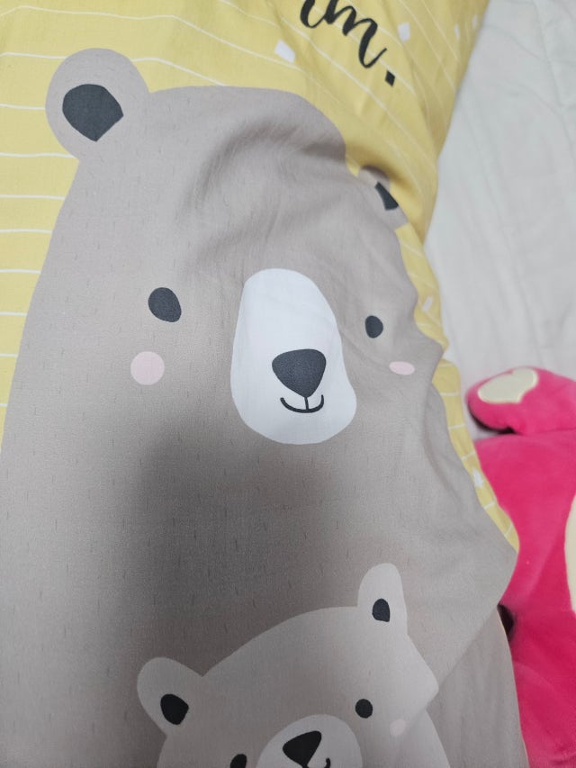 이미지를 찾을 수 없습니다.