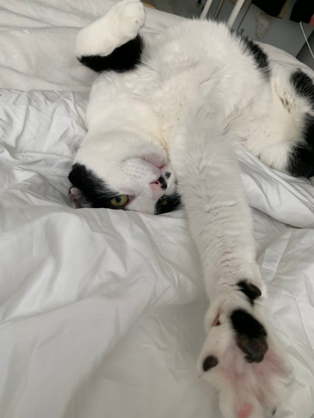 이미지를 찾을 수 없습니다.