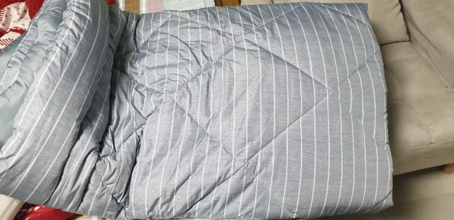 이미지를 찾을 수 없습니다.