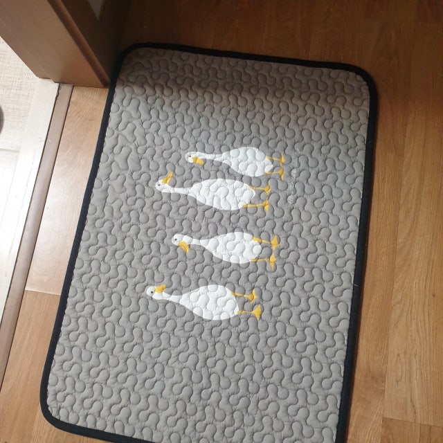 이미지를 찾을 수 없습니다.