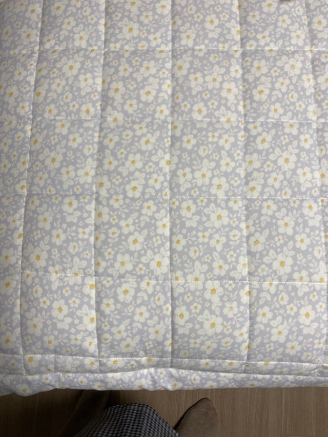 이미지를 찾을 수 없습니다.