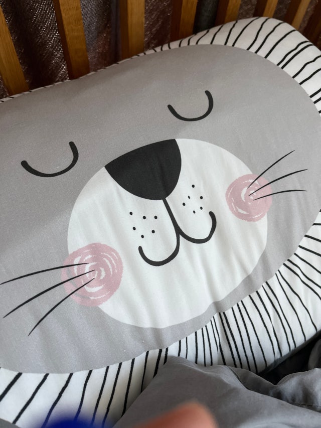 이미지를 찾을 수 없습니다.