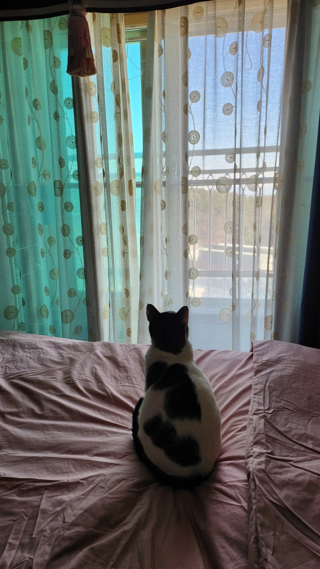 이미지를 찾을 수 없습니다.