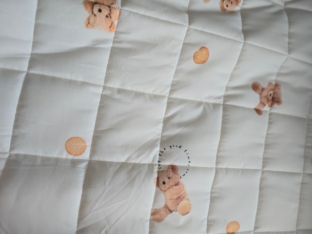 이미지를 찾을 수 없습니다.