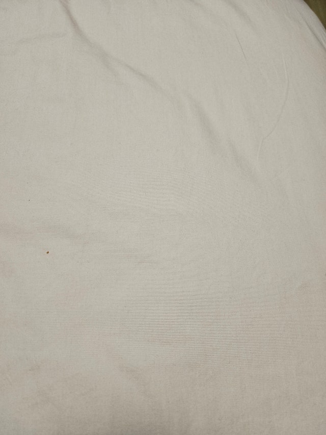 이미지를 찾을 수 없습니다.