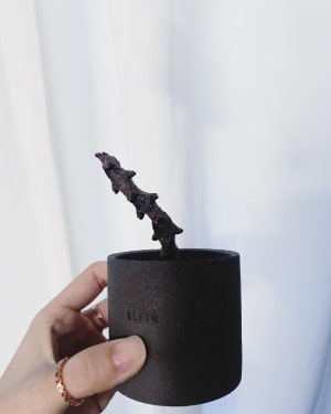 Review 1