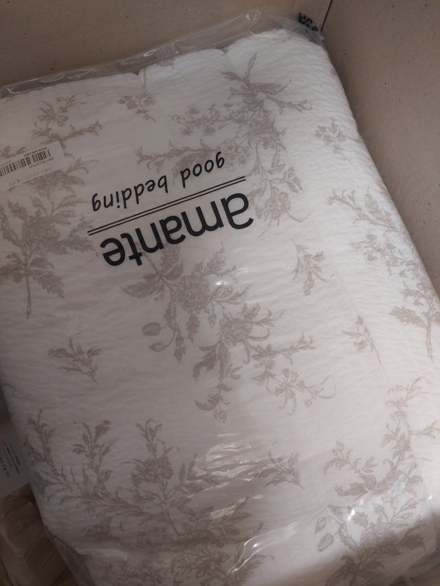 이미지를 찾을 수 없습니다.