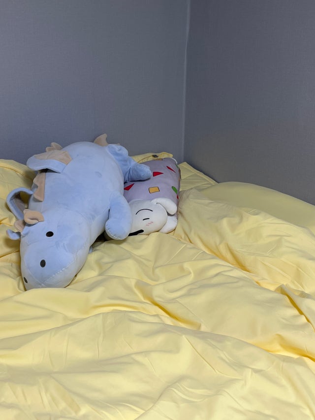 이미지를 찾을 수 없습니다.