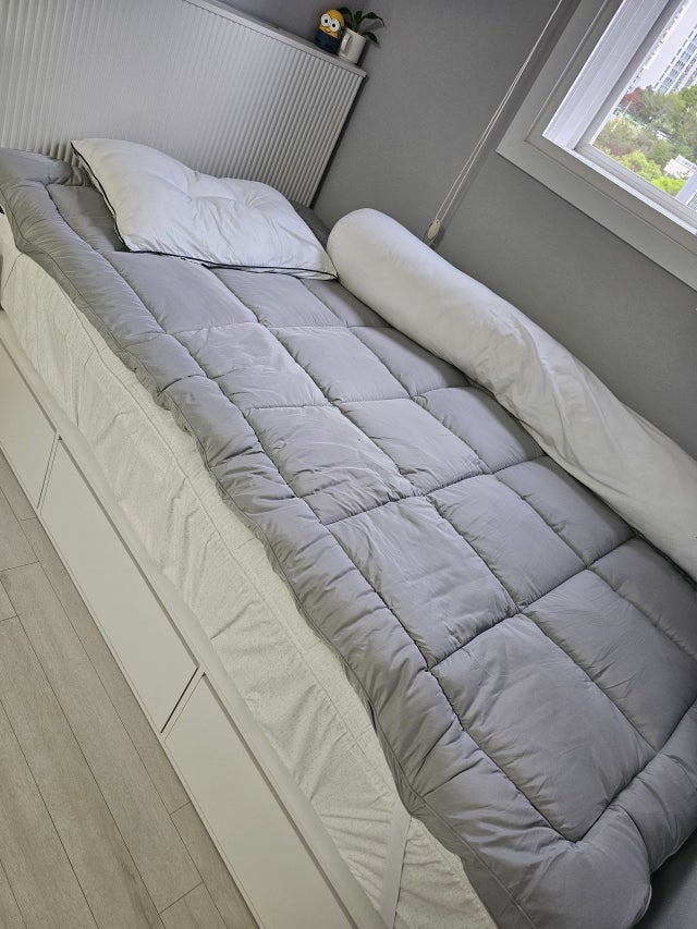 이미지를 찾을 수 없습니다.