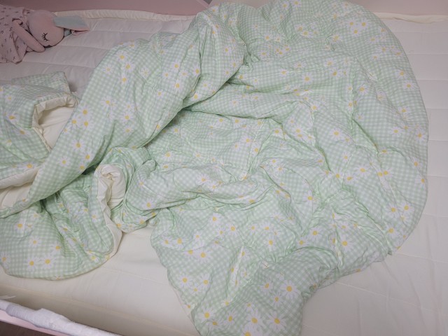 이미지를 찾을 수 없습니다.