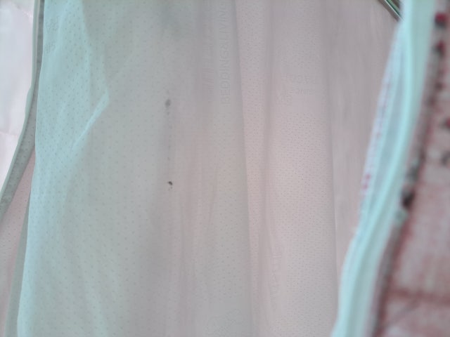 이미지를 찾을 수 없습니다.