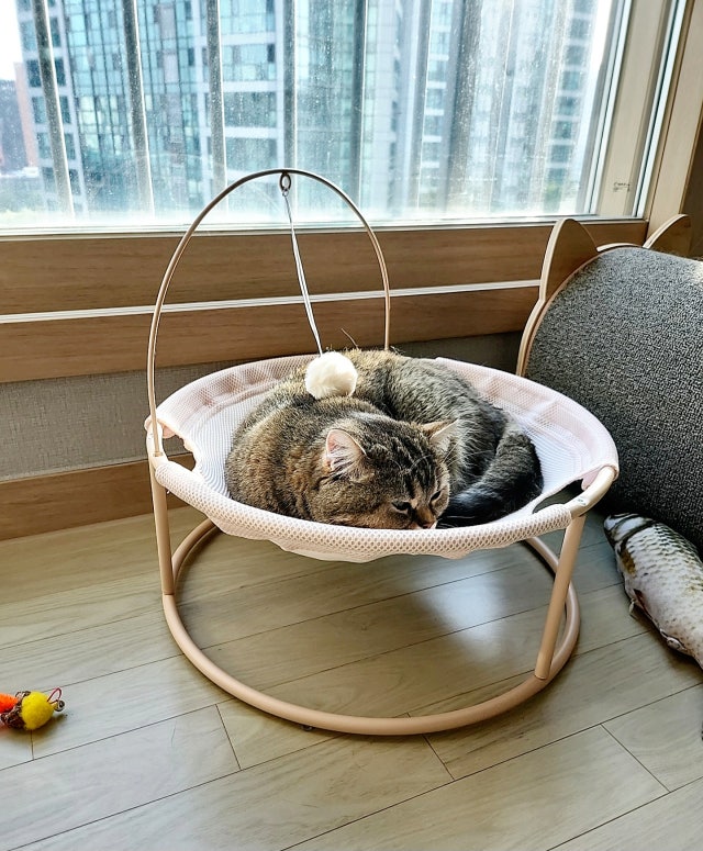 이미지를 찾을 수 없습니다.