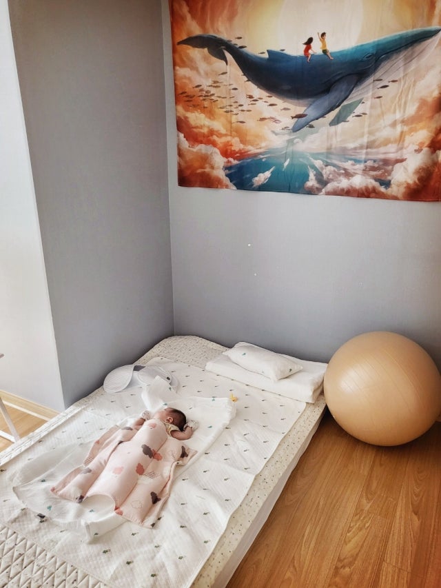 이미지를 찾을 수 없습니다.