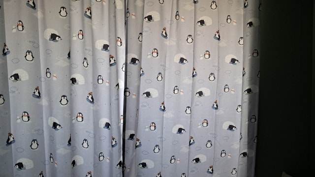 이미지를 찾을 수 없습니다.