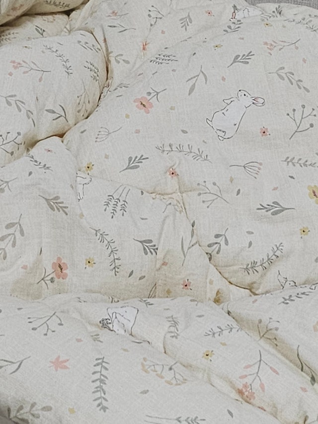 이미지를 찾을 수 없습니다.