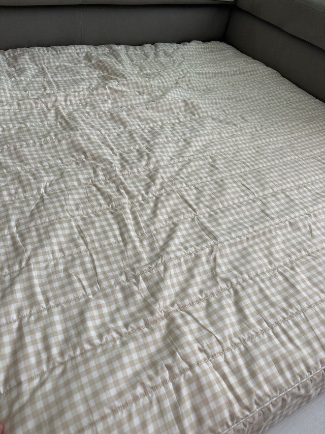 이미지를 찾을 수 없습니다.