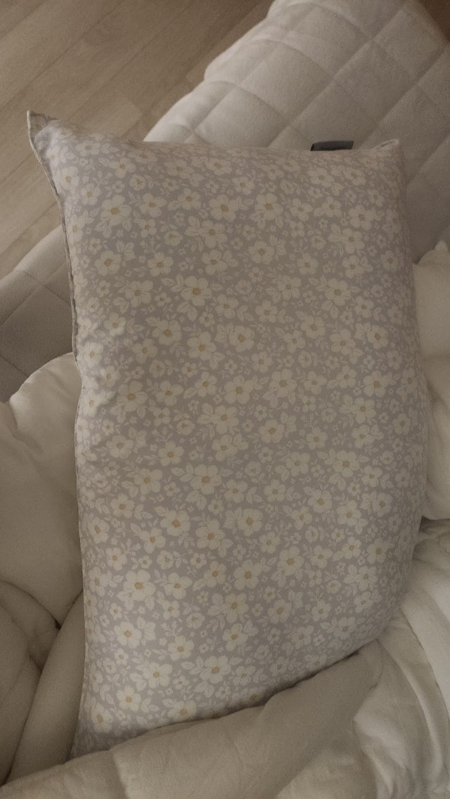 이미지를 찾을 수 없습니다.